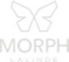 Logo Morph